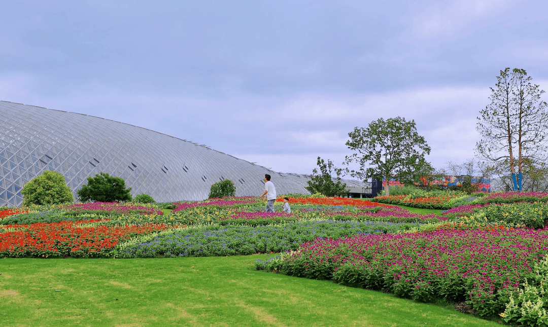 松江遛娃可以去这里逛_李瑞丰_演出_植物园