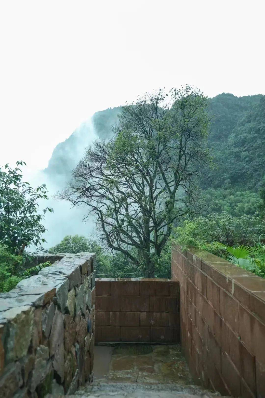作为大乐之野在西南地区的首店民宿选在避暑胜地四面山中