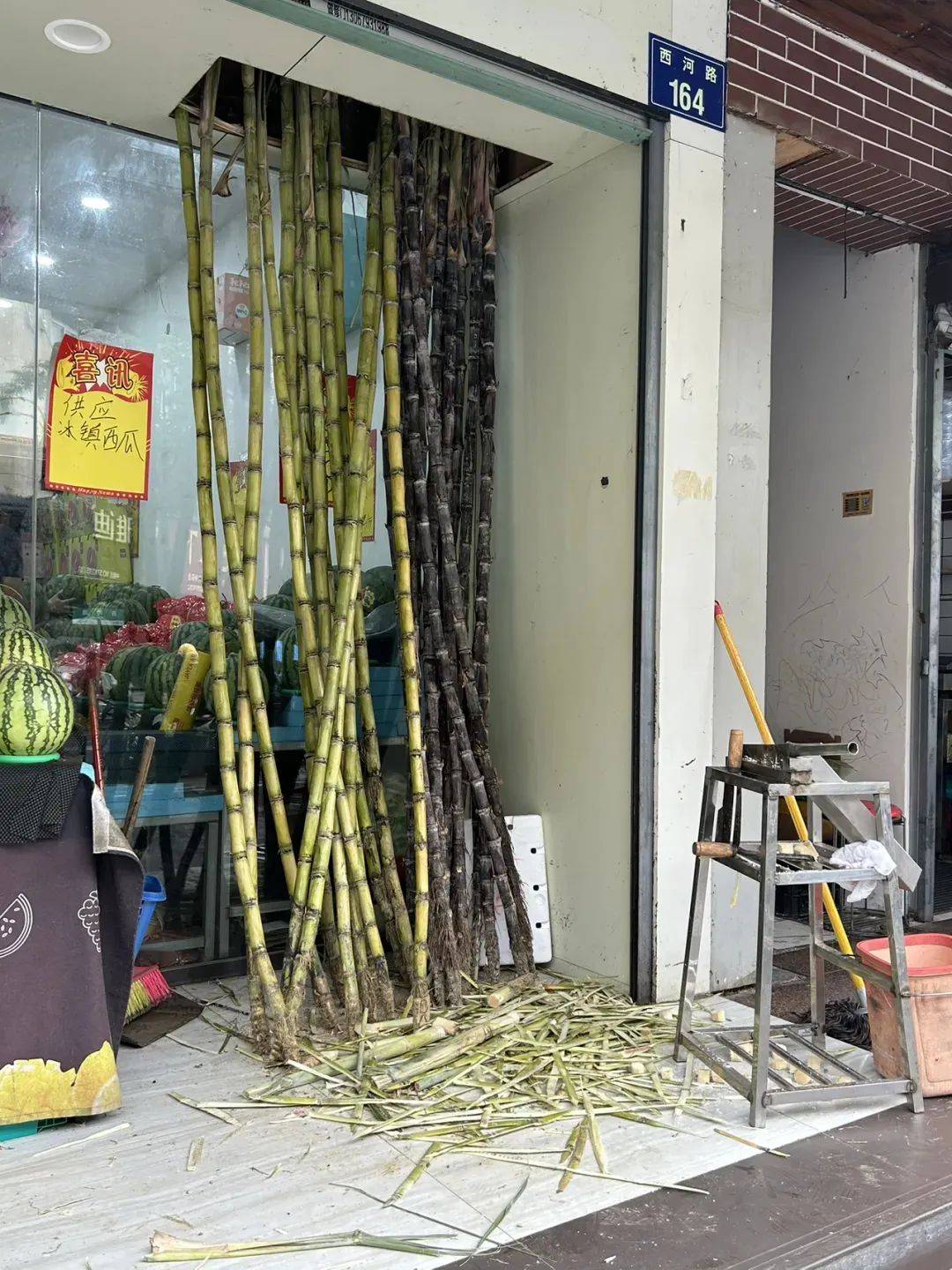 香榧_甘蔗_柿子