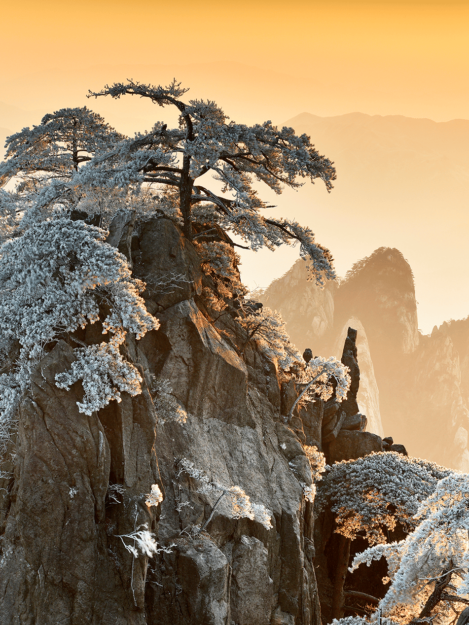 黄山风景图片大全高清图片