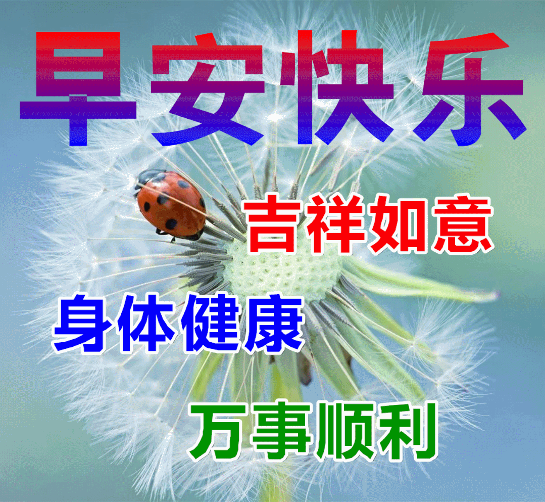月8日精美温馨的早上好问候祝福图片精选,一路繁花似锦,一生健康平安!