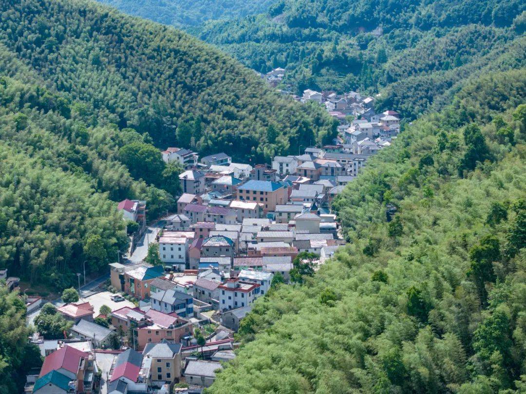 大黄岭村晋升"杭州市艺术乡建特色村"