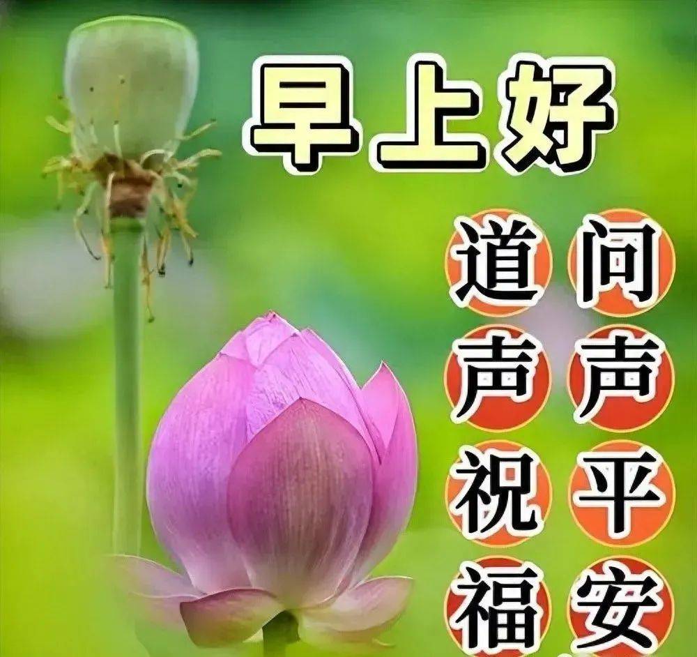 就是从这里开始的