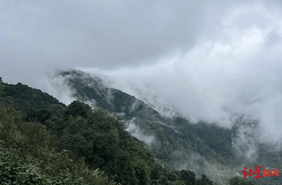 哀牢山爆火背后：向导称未来半个月徒步团已报满 几年前曾有居民狩猎时误杀同伴 -华闻时空