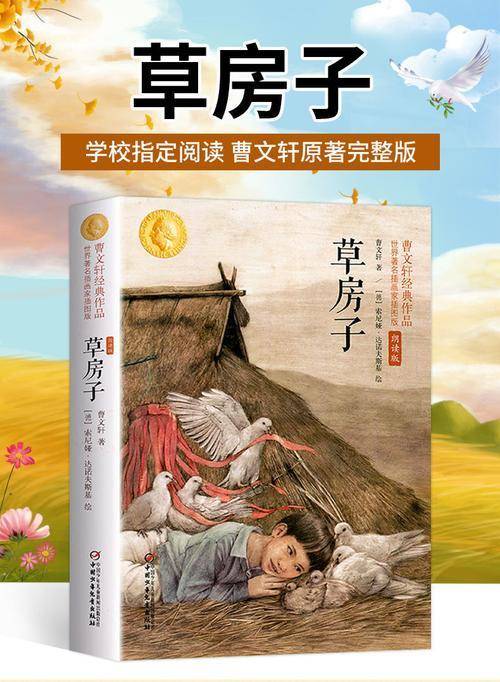 《草房子》:发现生活中的美_桑桑_故事_丁四