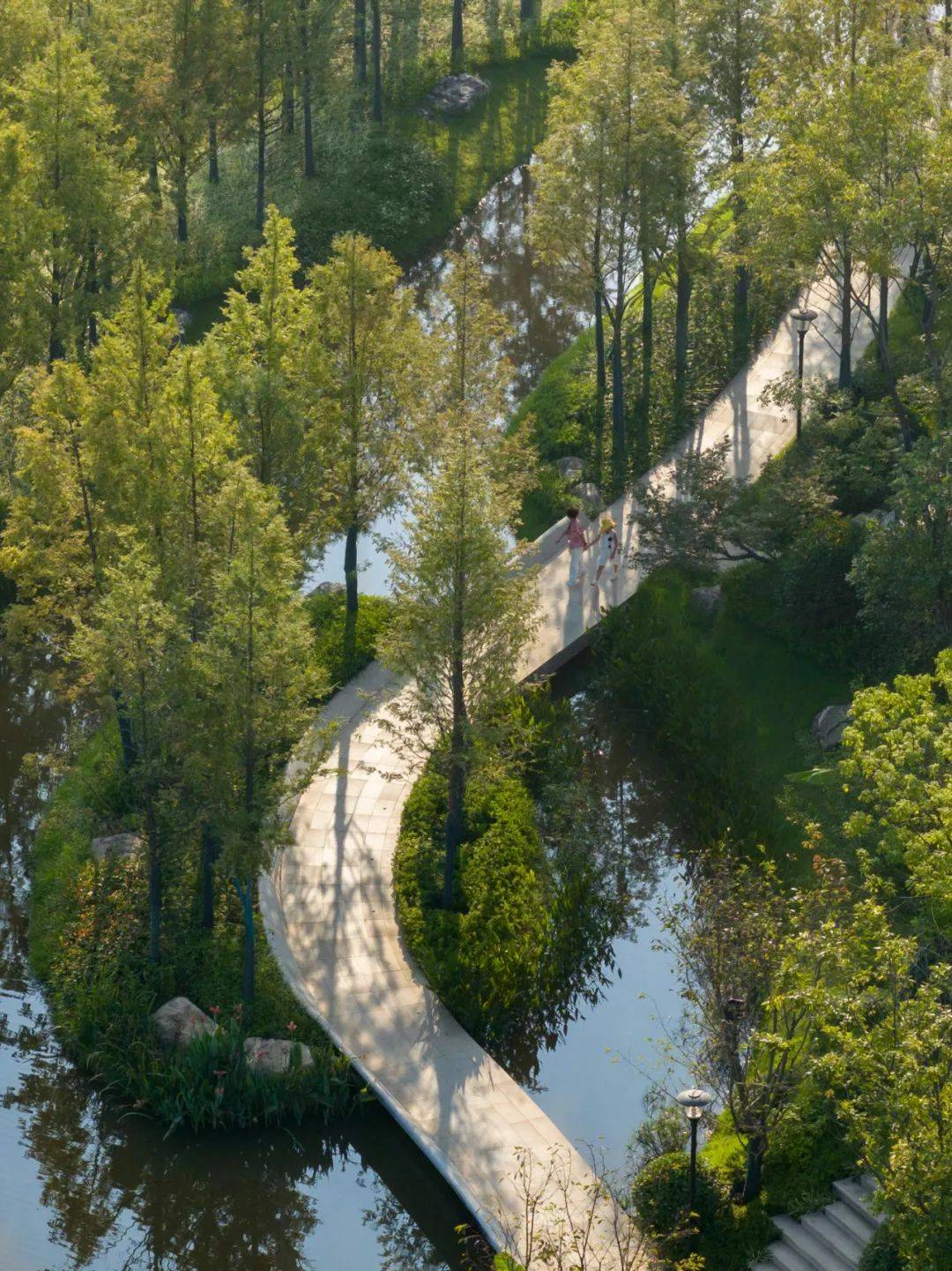 cedar forest border lake杉林境湖03▲空间的运营与策划the main