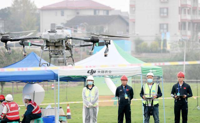 施肥10月11日-12日,在金秋丰收的季节,垫江县高峰镇民主村的田野上,一