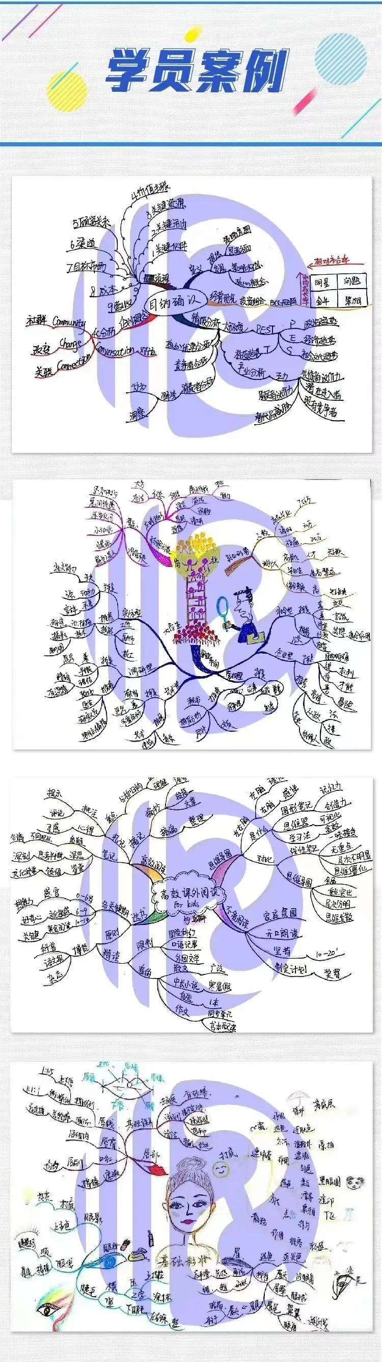 毒品思维导图图片