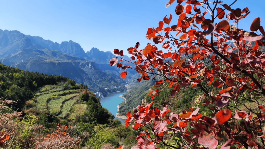 新乡秋沟景区图片