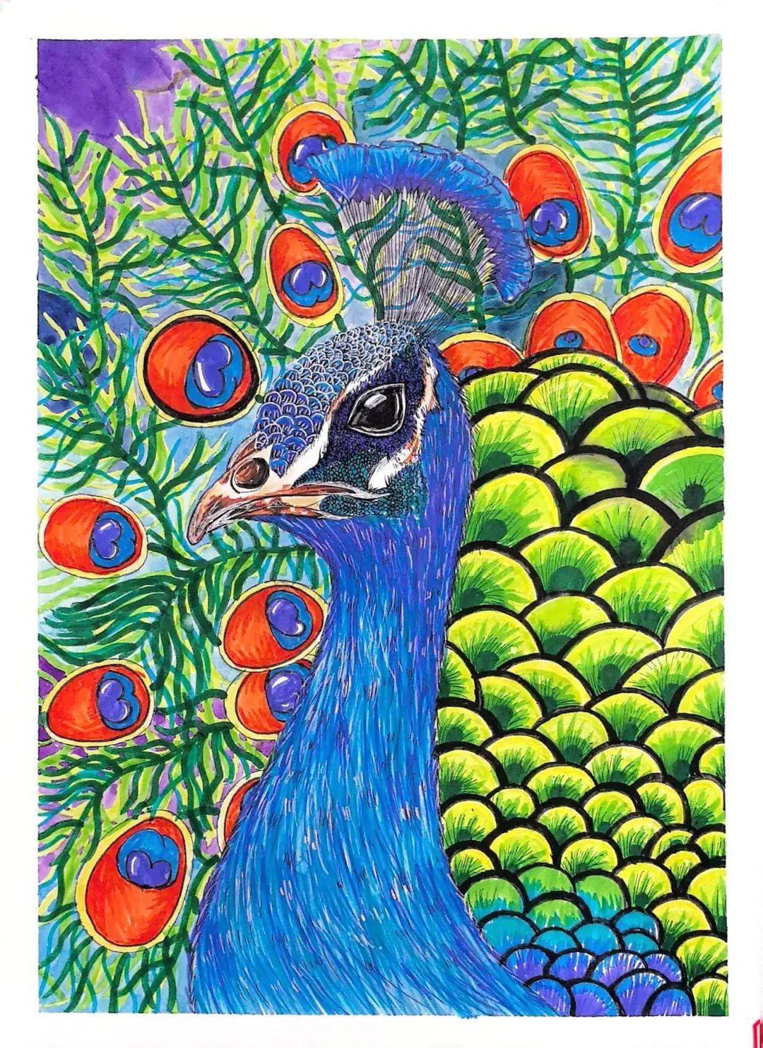 评选公布舞剧孔雀少儿绘画作品征集大赛结果公布啦