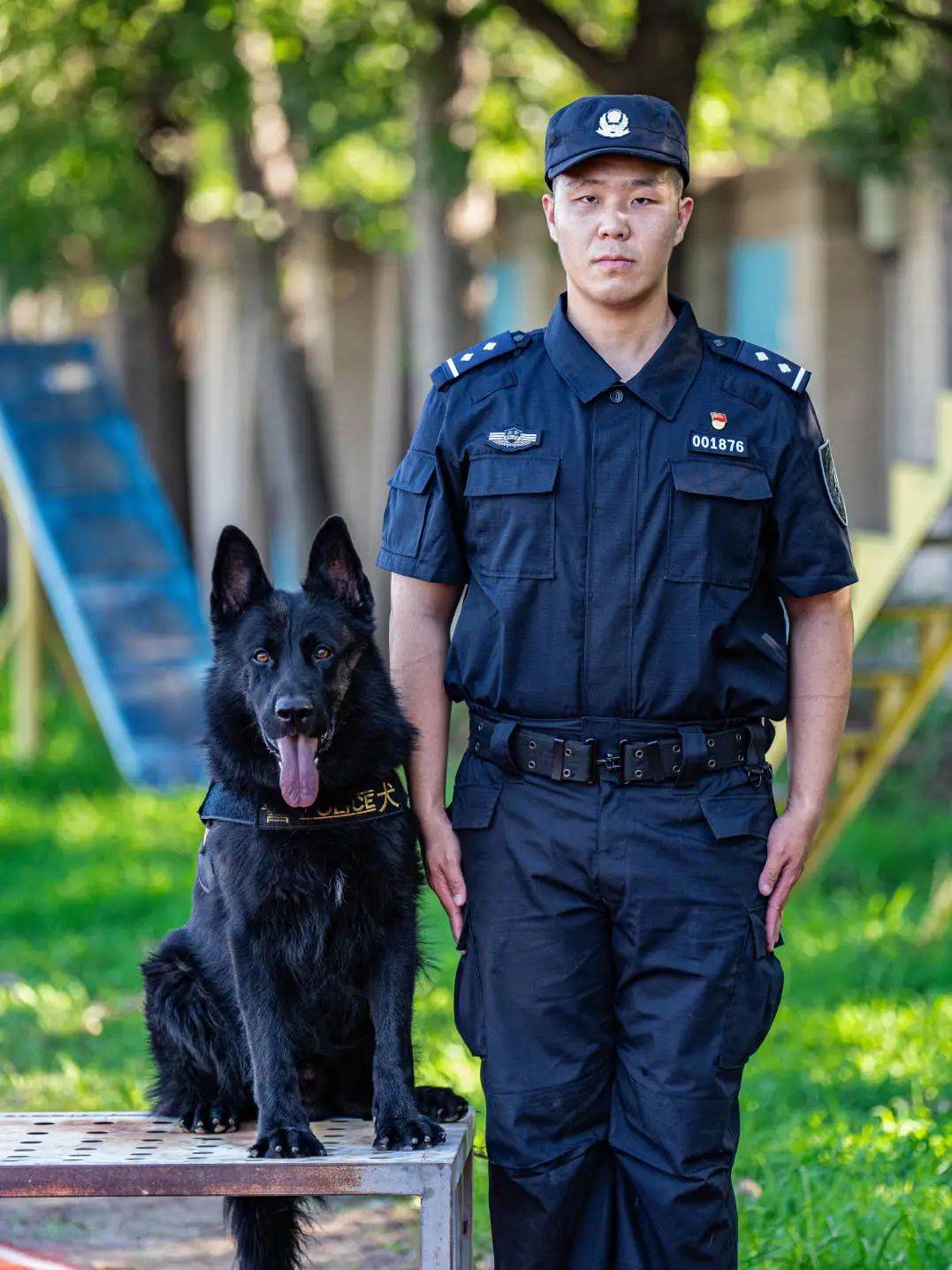 北京市警犬基地的队长图片