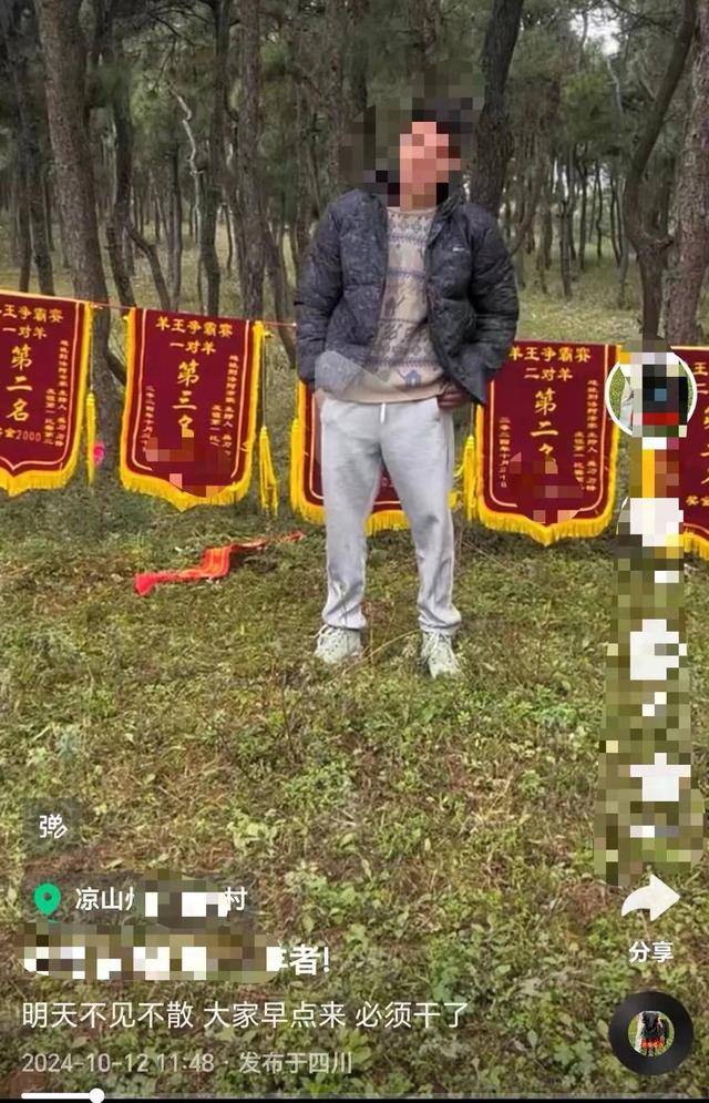 擅自组织斗羊比赛未报备 四川布拖一男子被行政拘留十日