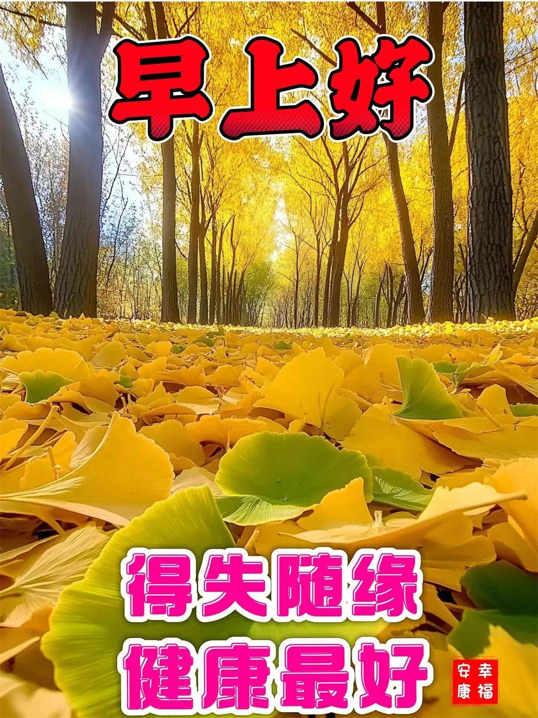 10月16日最漂亮早上好动态表情图片大全,早晨好动图美图大全