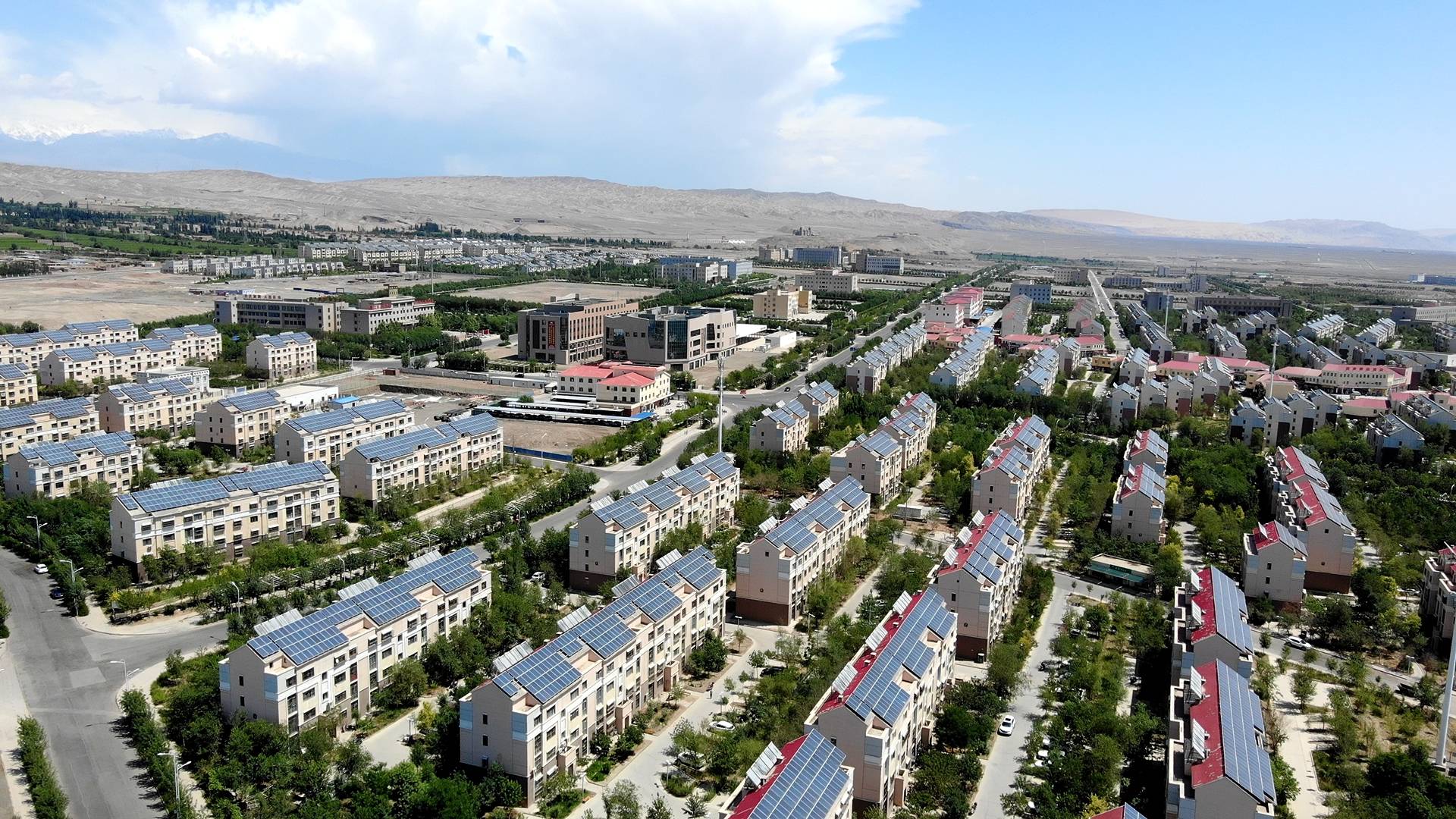 “捕捉”阳光收获绿电——外媒记者感受新疆新能源发展成果