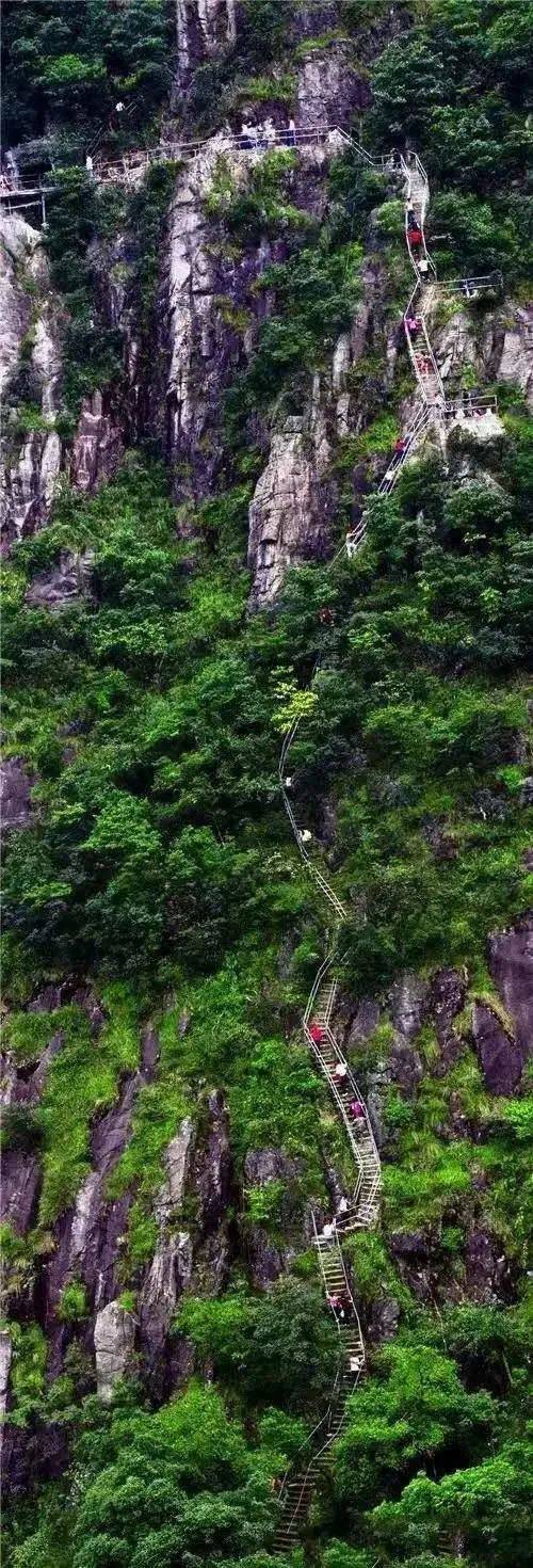 连山金子山·首届枫叶节来啦|06258赏最美高山枫叶 百亩银杏林,岭南