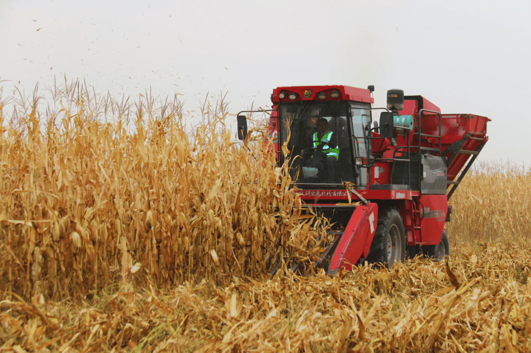 支付宝身份证补办_支付宝身份证补办_支付宝身份证补办