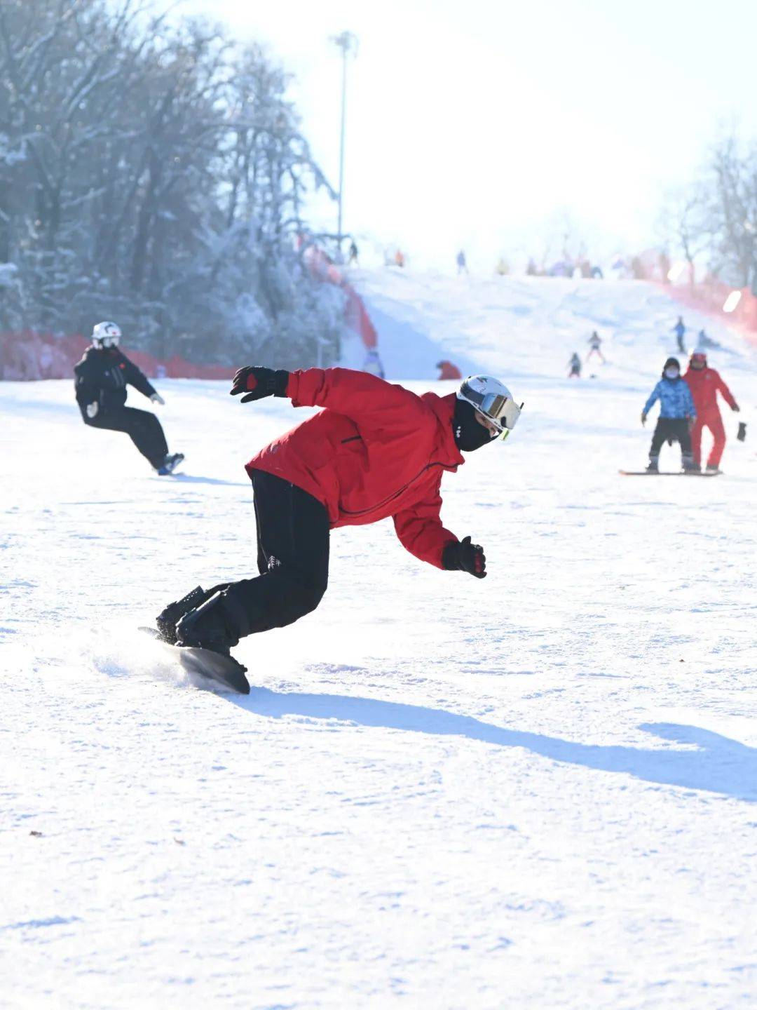 鞍山二一九公园滑雪图片