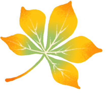 刘波说影像 | 中老年人骨质疏松，哪些影像检查适合自己？(图4)