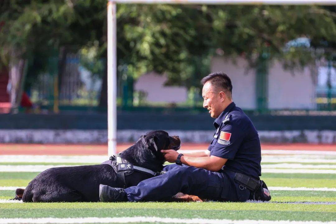 北京市警犬基地的队长图片