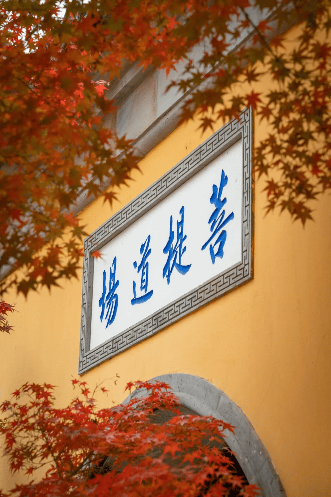 939393都是赏枫佳地寺内的钟楼,回廊南山寺就拉开了赏枫的序曲