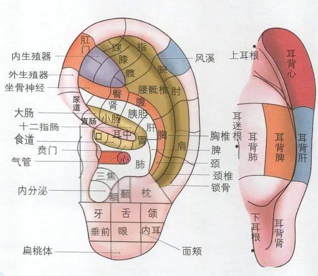 睡前十分钟