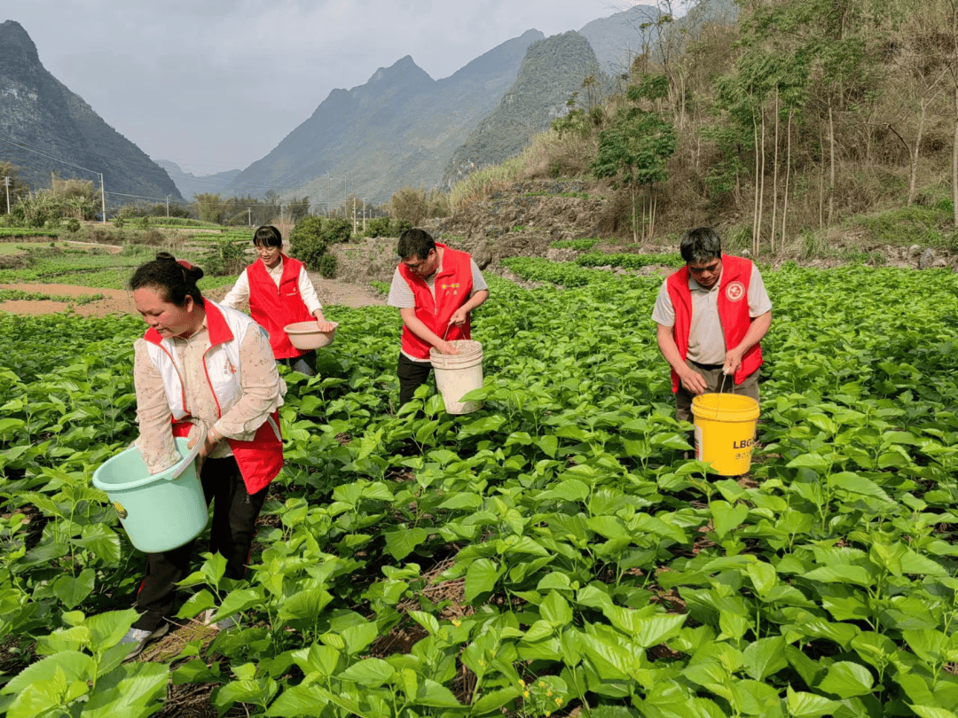 好奔头柴油三轮车图片