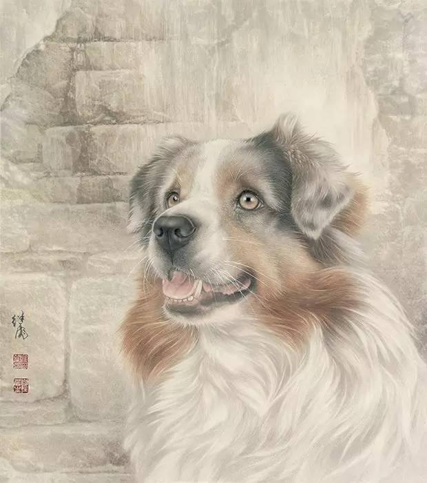 工笔画狗的画法,超详细步骤!