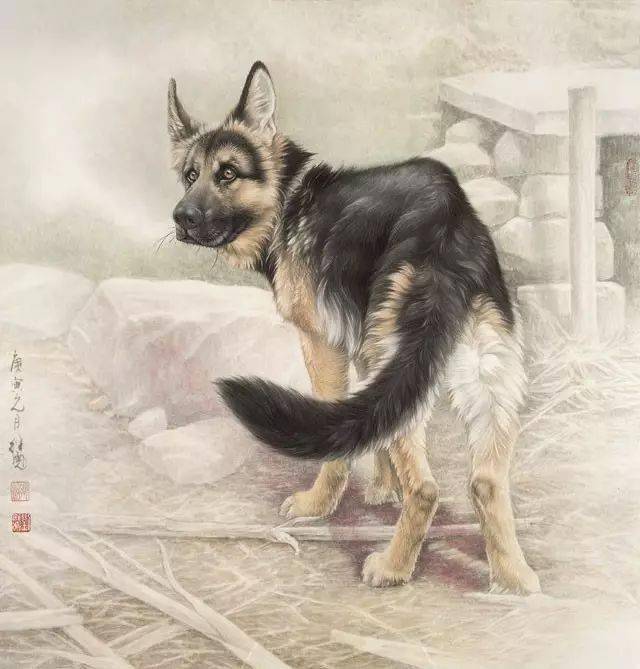 工笔画狗的画法,超详细步骤!