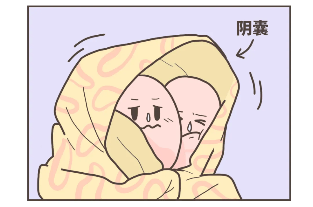 弟弟的蛋蛋,一大一小,啊!一会儿又没了?