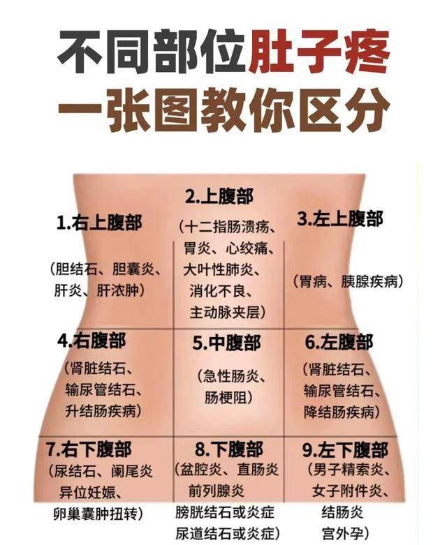 左下腹部位置图片图片