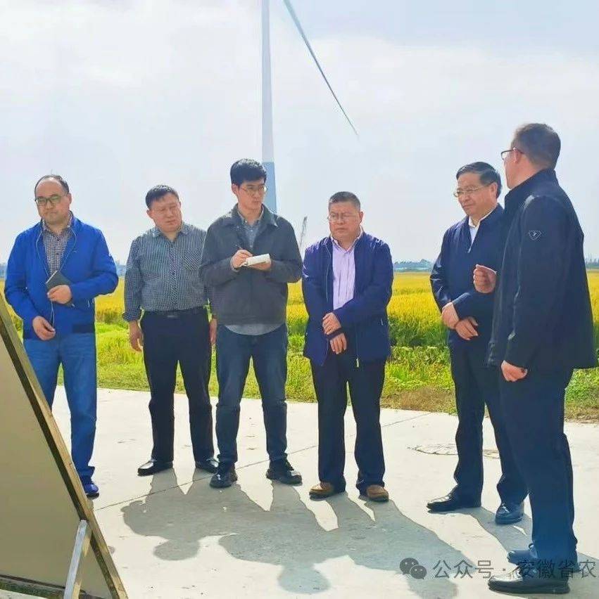 部种植业司一行来皖调研指导秋冬种生产工作_农业_防灾_减灾