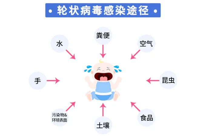 轮状病毒ppt图片