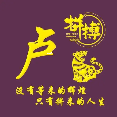 姓氏卢头像图片