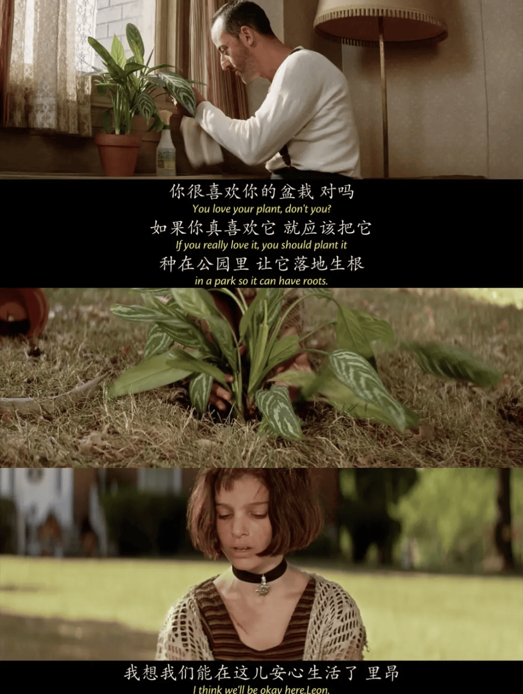 4分的电影《这个杀手不太冷》,时隔30年首次登陆中国,定档11月1日!