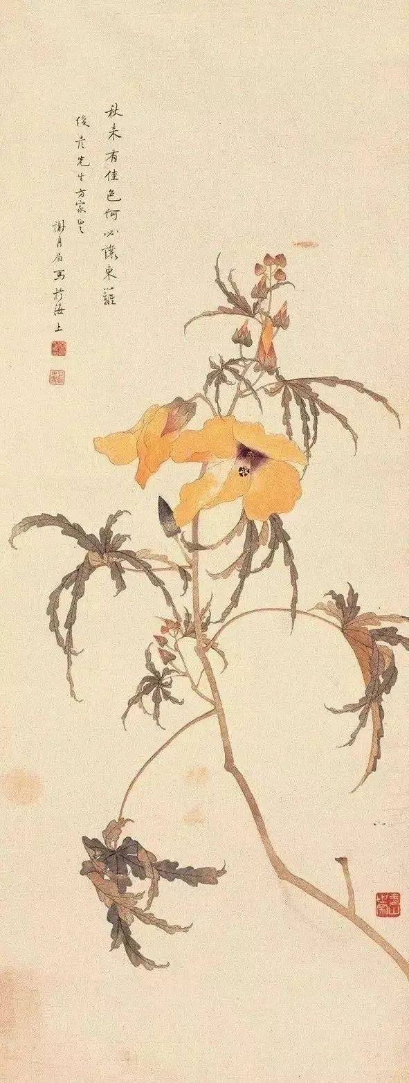 堪称"花鸟圣手"67~来看看她的画怎么样?