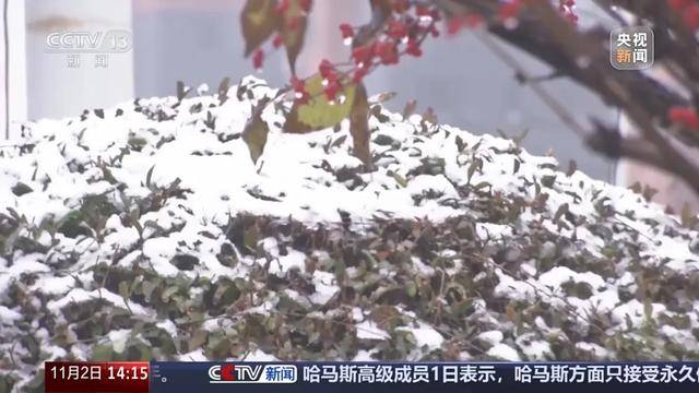 今年是暖冬还是冷冬?国家气候中心最新研判! 今年是暖冬还是冷冬?国家气候中心最新研判!