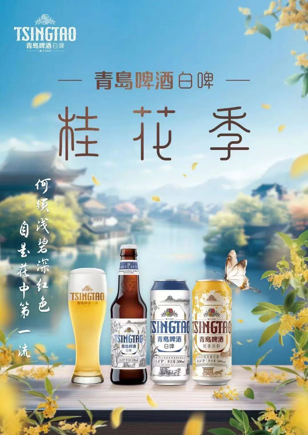 青岛啤酒白啤特点图片