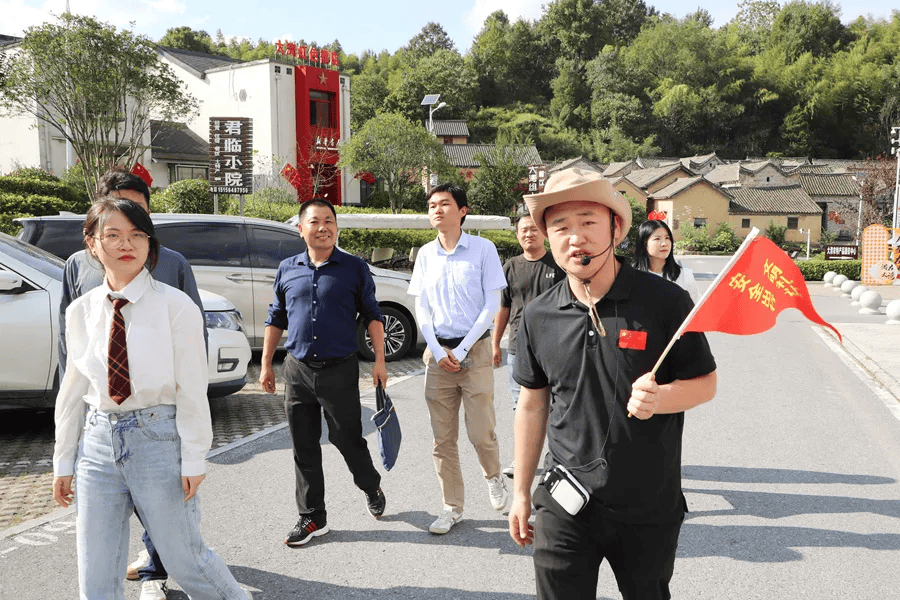 【他山之石】幸福大湾村:打造乡村振兴新画卷_花石乡_田凯平_金寨县