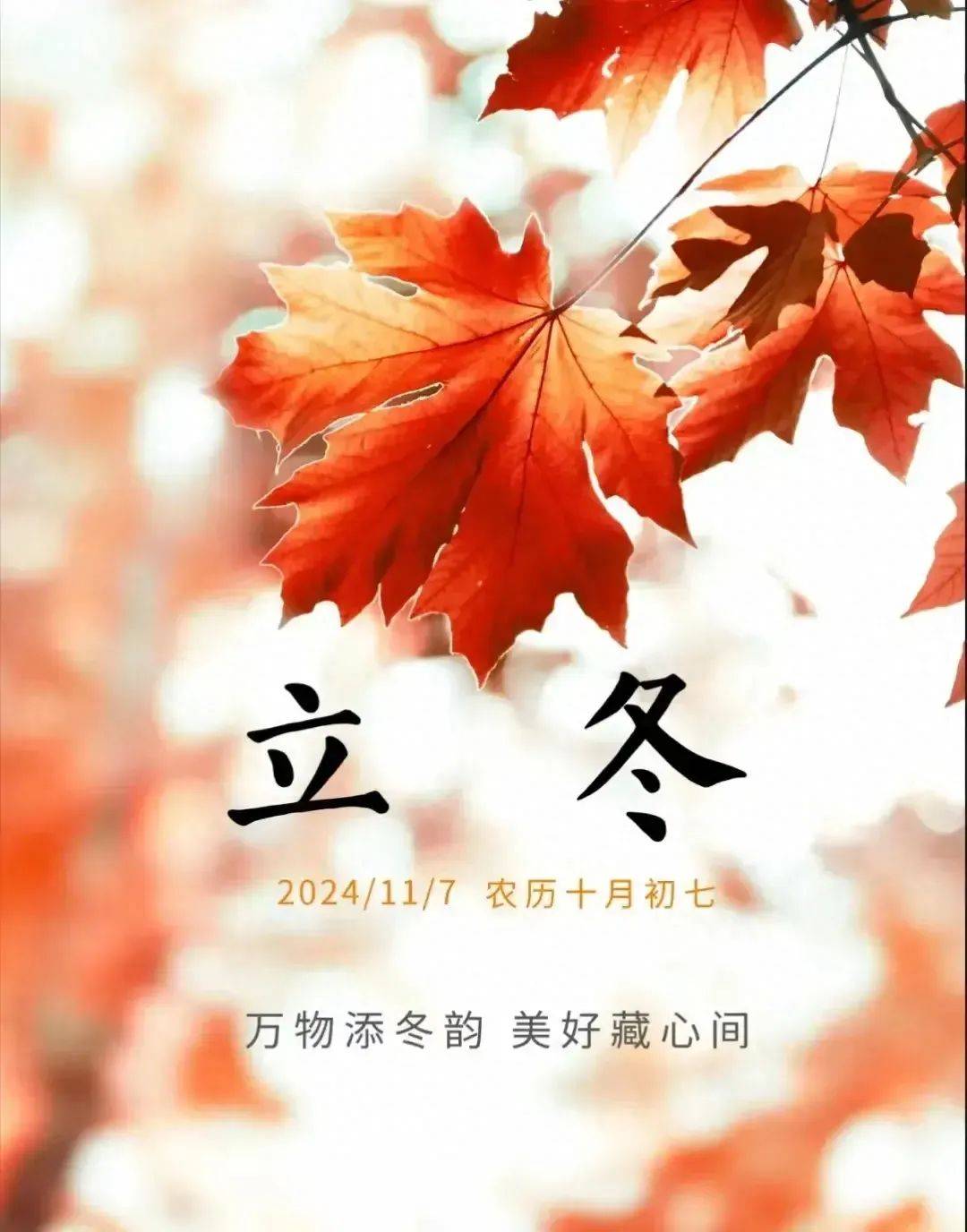 今日立冬祝福美图:人间忽晚,山河秋逝,和秋天说再见!