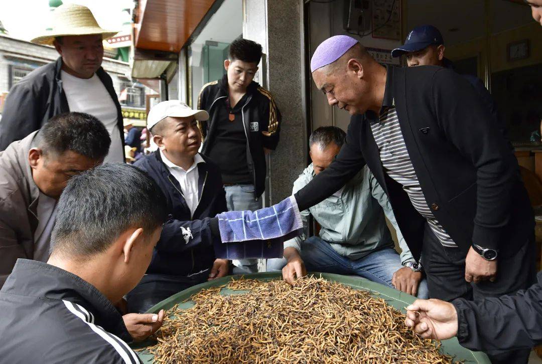 图片[6]-闲不住的年轻人，扎堆涌向西藏 -华闻时空