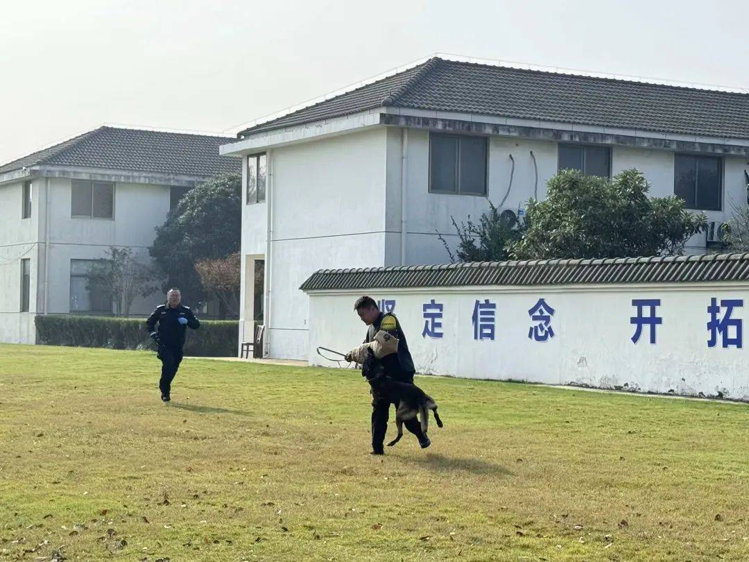 南京警犬训练基地图片