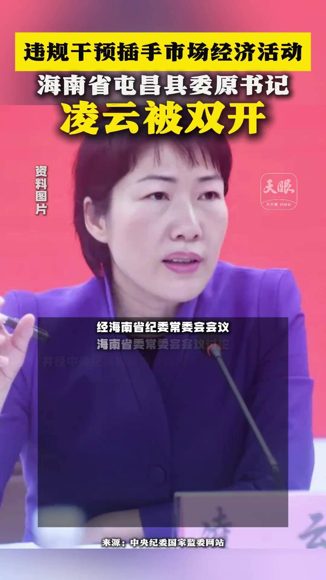 女演员凌云简历图片