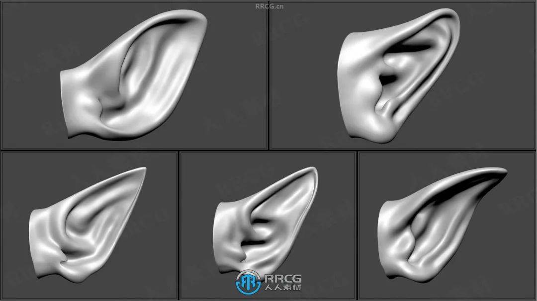 50组人形生物耳朵zbrush imm笔刷与3d模型合集