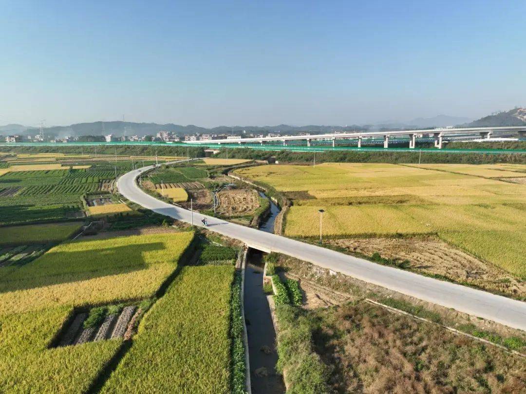 玉林福绵:守定川江碧水南流 "世界裤都"焕振兴新颜
