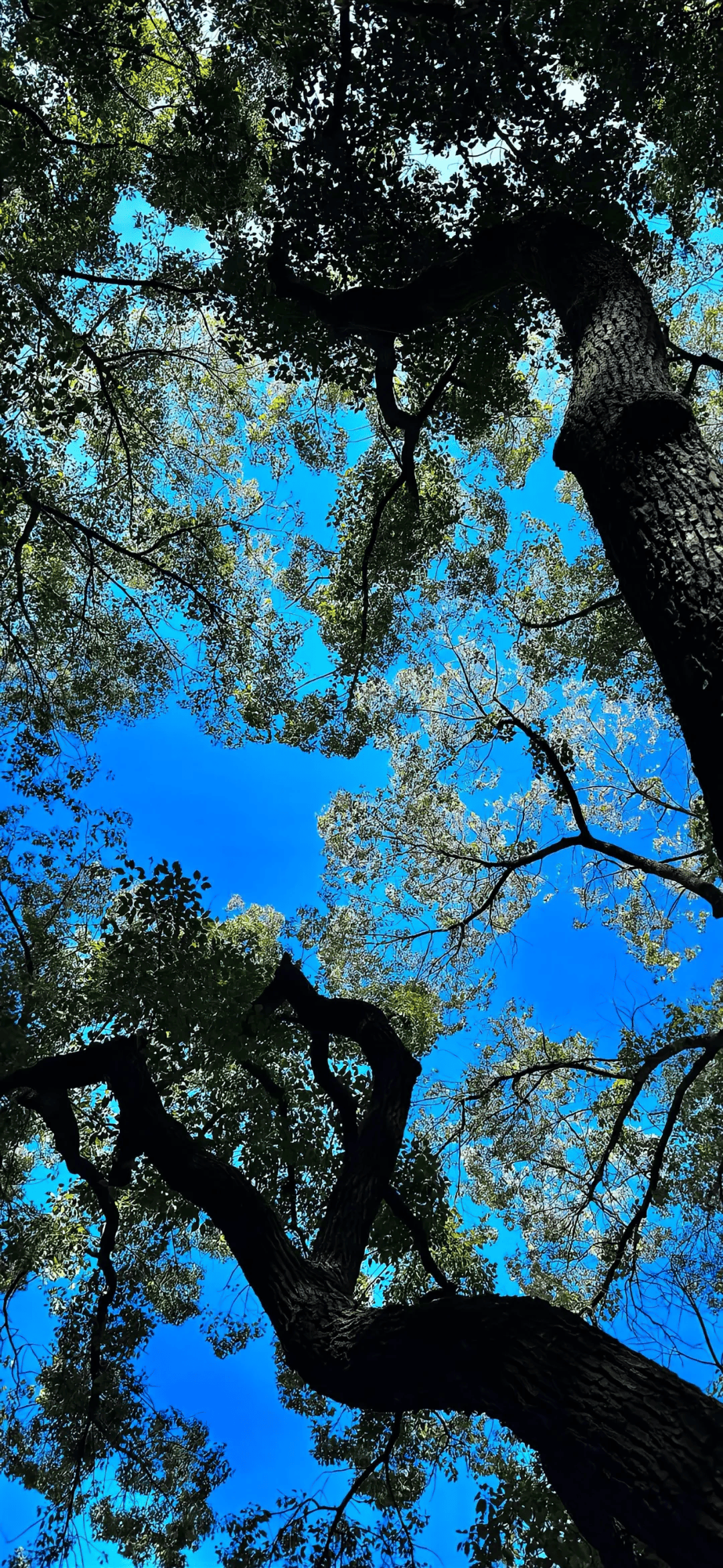 壁纸|超有氛围感的ins风壁纸