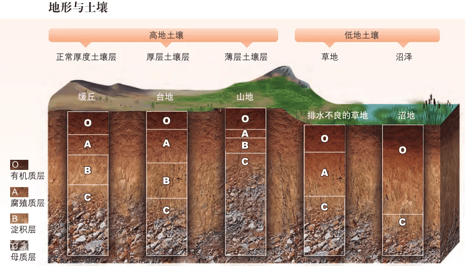 【土壤地理】最完整的土壤知识!全国土壤分布/形成/剖面(图图经典)转发、收藏起来_养分_作用_土粒