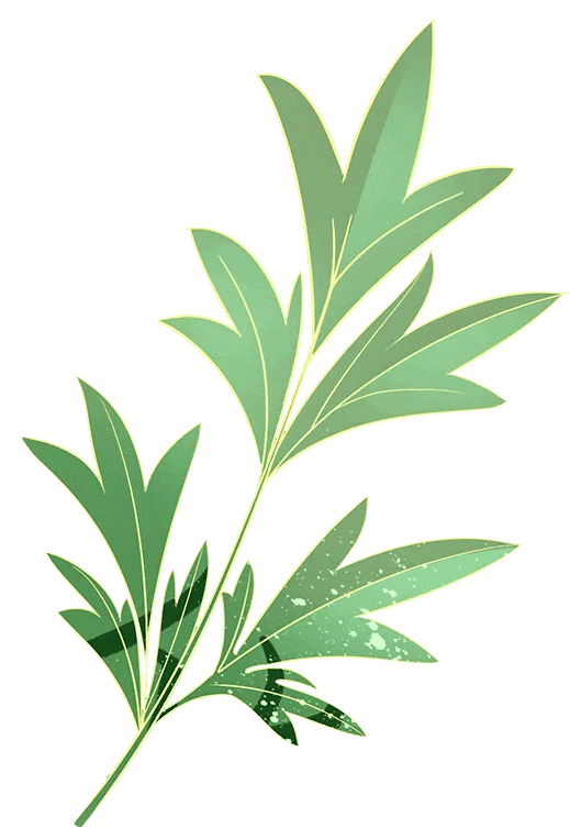 树人丨颜燕华:茶里茶外的社会学研究