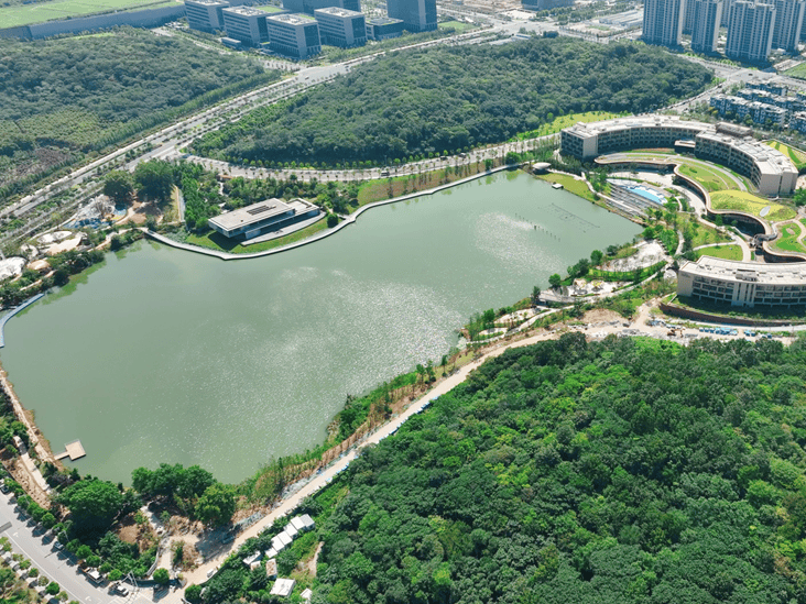 栖霞区城市绿洲图片