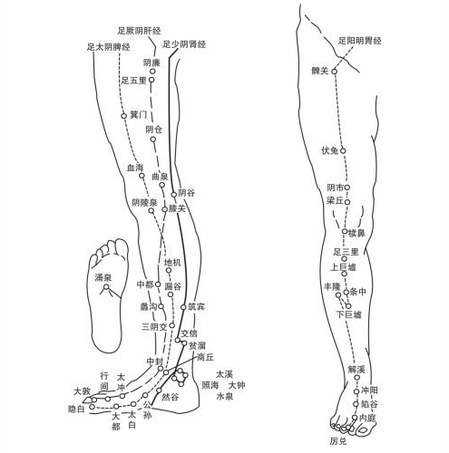 腿部学反射位图解大全图片