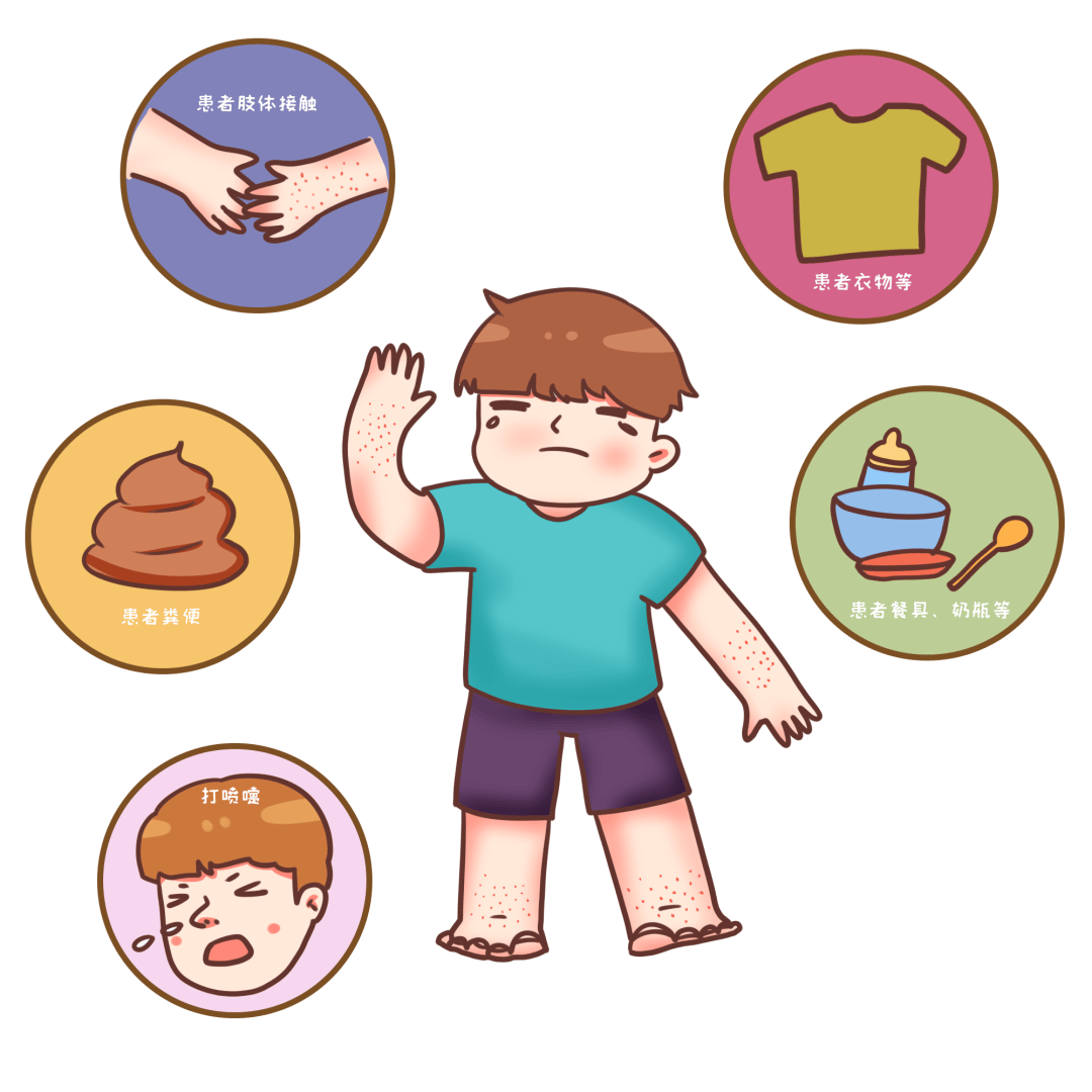 11月份健康提示: 注意预防诺如病毒感染,流行性感冒,流行性出血热,新